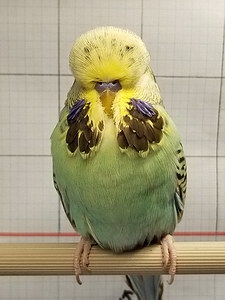 Участник №145 фото