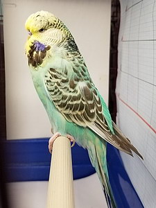 Участник №145 фото