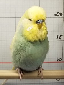 Участник №146 фото