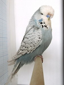 Участник №147 фото