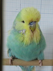 Участник №148 фото