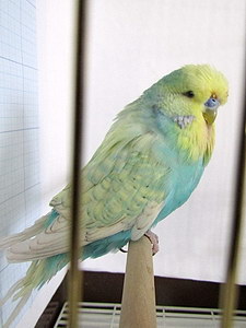 Участник №148 фото