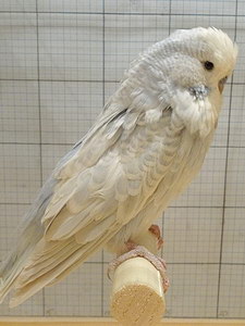 Участник №149 фото