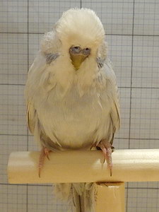 Участник №149 фото