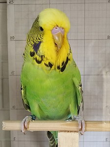 Участник №150 фото