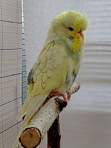 Участник №151 фото