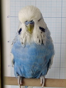 Участник №152 фото