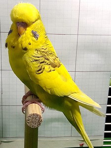 Участник №155 фото