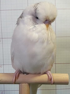 Участник №156 фото