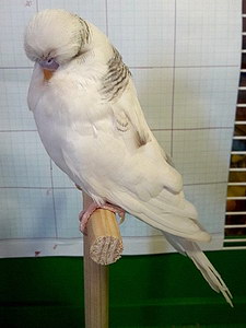 Участник №156 фото