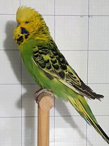 Участник №157 фото