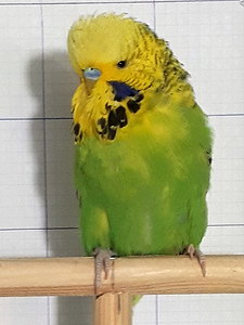 Участник №157 фото