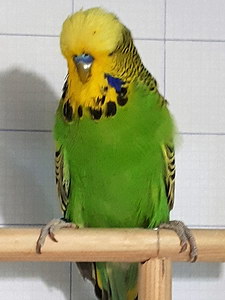 Участник №158 фото