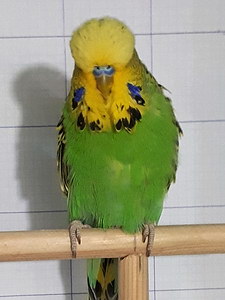 Участник №159 фото