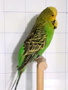 Участник №159 фото