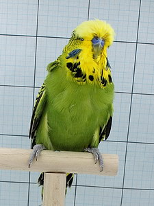 Участник №16 фото