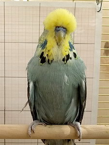 Участник №160 фото