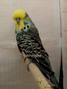 Участник №160 фото