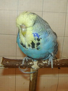 Участник №162 фото