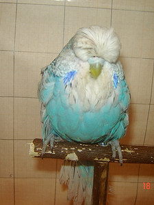 Участник №163 фото