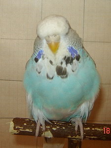 Участник №164 фото