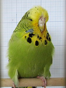 Участник №165 фото