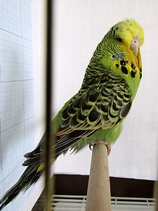 Участник №165 фото