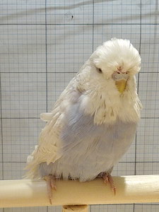 Участник №166 фото