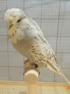 Участник №167 фото