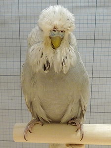 Участник №167 фото