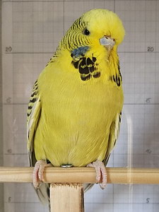 Участник №168 фото