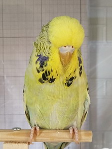 Участник №169 фото