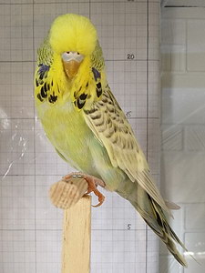 Участник №169 фото