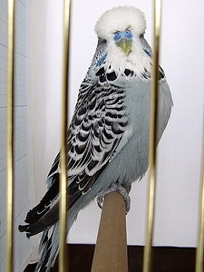 Участник №17 фото