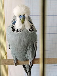 Участник №17 фото