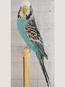 Участник №170 фото