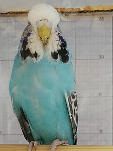 Участник №170 фото