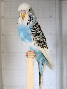 Участник №171 фото