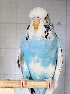 Участник №171 фото