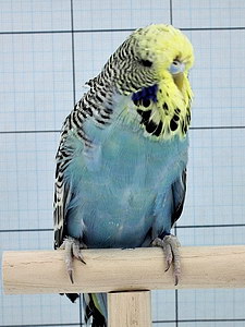 Участник №172 фото