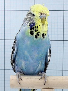 Участник №173 фото