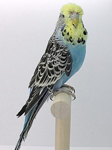 Участник №173 фото