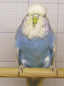 Участник №174 фото