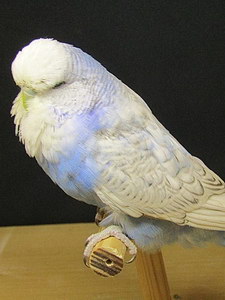 Участник №174 фото