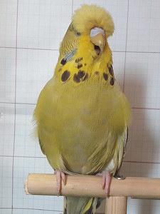 Участник №175 фото