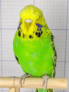 Участник №176 фото