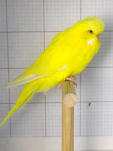 Участник №177 фото