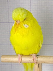 Участник №177 фото