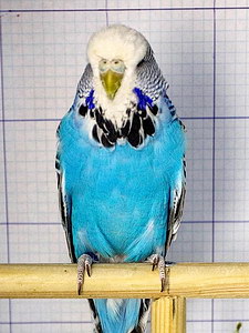 Участник №179 фото