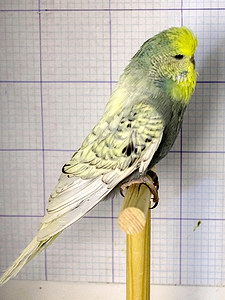 Участник №180 фото